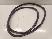 Trunk rubber seal (body)