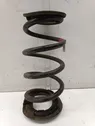 Rear coil spring