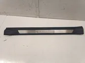 Front sill trim cover