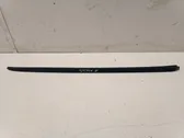 Windshield trim