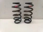 Rear coil spring