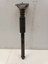 Rear shock absorber/damper