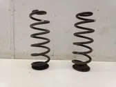 Rear coil spring