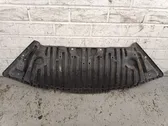 Front bumper skid plate/under tray