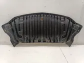 Front bumper skid plate/under tray