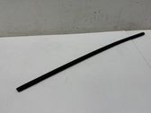 Rear door glass trim molding