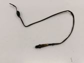 Sonde lambda