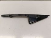 Rear door glass trim molding