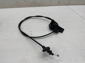 Cable de apertura del capó/tapa del motor