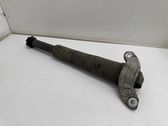 Rear shock absorber/damper