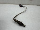 Sonde lambda
