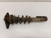 Rear shock absorber/damper