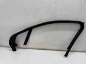 Other front door trim element