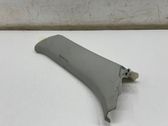 (C) pillar trim