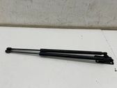 Tailgate/trunk strut/damper