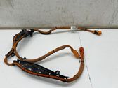 Other wiring loom
