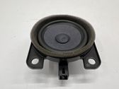 Rear door speaker