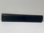 Front door trim (molding)