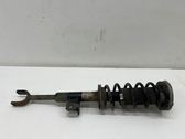 Front shock absorber with coil spring