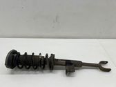 Front shock absorber with coil spring