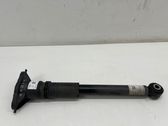 Stoßdämpfer hinten