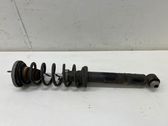 Rear shock absorber with coil spring
