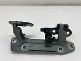 Tailgate/trunk/boot hinge