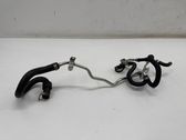 Sensor de temperatura del combustible