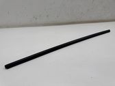 Rear door glass trim molding