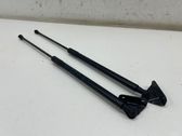 Tailgate/trunk strut/damper