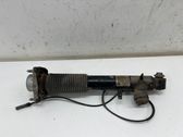 Rear shock absorber/damper