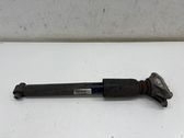 Rear shock absorber/damper