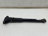 Rear shock absorber/damper