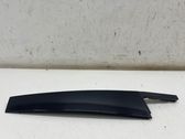 Rear door glass trim molding