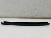 Rear door window/glass frame