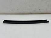 Rear door window/glass frame