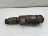 Catalyst/FAP/DPF particulate filter