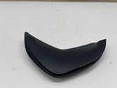 Rear door glass trim molding