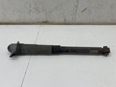 Stoßdämpfer hinten