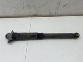 Stoßdämpfer hinten
