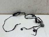 Cableado de puerta trasera
