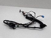 Rear door wiring loom