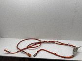 Other wiring loom