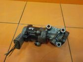 EGR thermostat