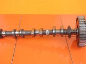 Camshaft