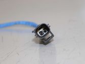 Sensor de temperatura del escape