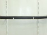 Rear bumper trim bar molding