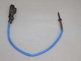 Abgastemperatursensor
