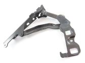 Tailgate/trunk/boot hinge