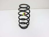 Front coil spring